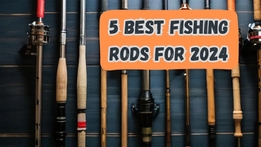 5 Best Fishing Rods For 2024