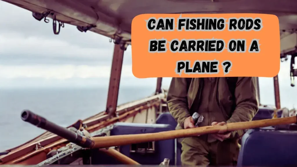Can Fishing Rods Be Carried On a Plane