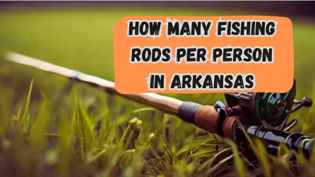 How Many Fishing Rods Per Person In Arkansas