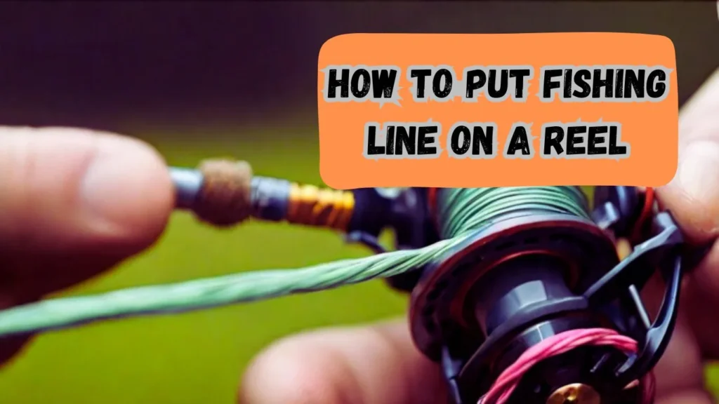 How to Put Fishing Line on a Reel