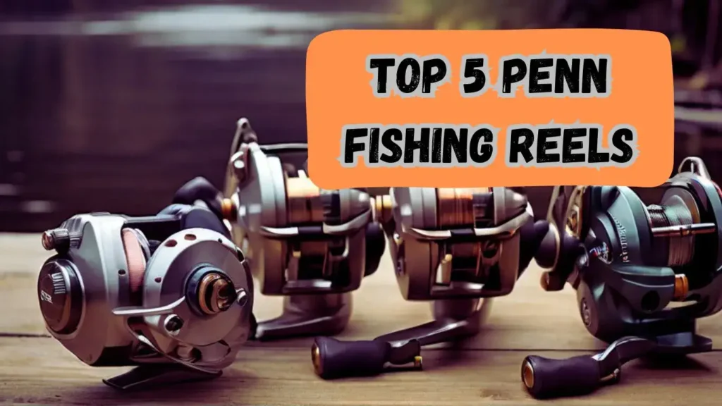 Top 5 Penn Fishing Reels