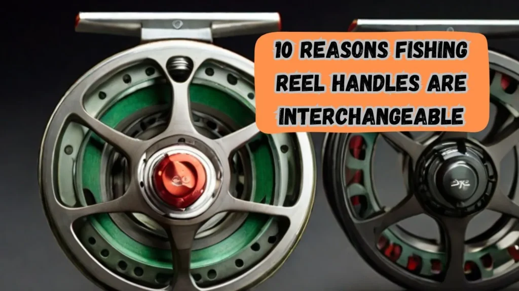 10 Reasons are Fishing Reel Handles Are Interchangeable