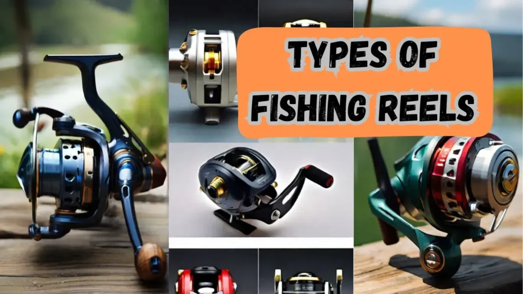 6 types of fishing reels