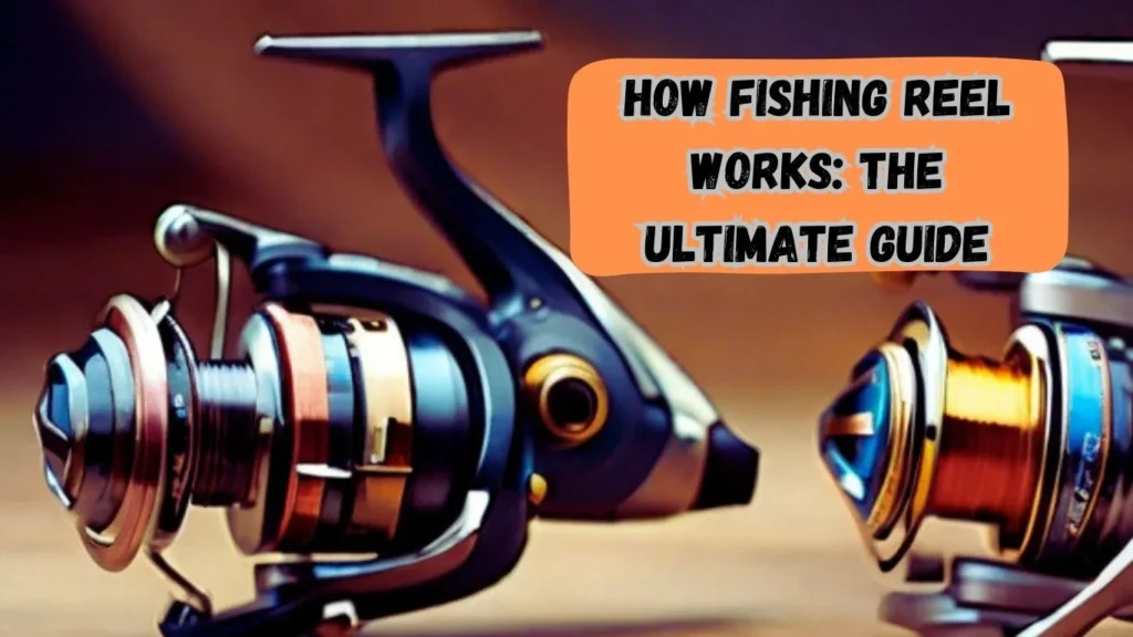 How Fishing Reel Works The Ultimate Guide