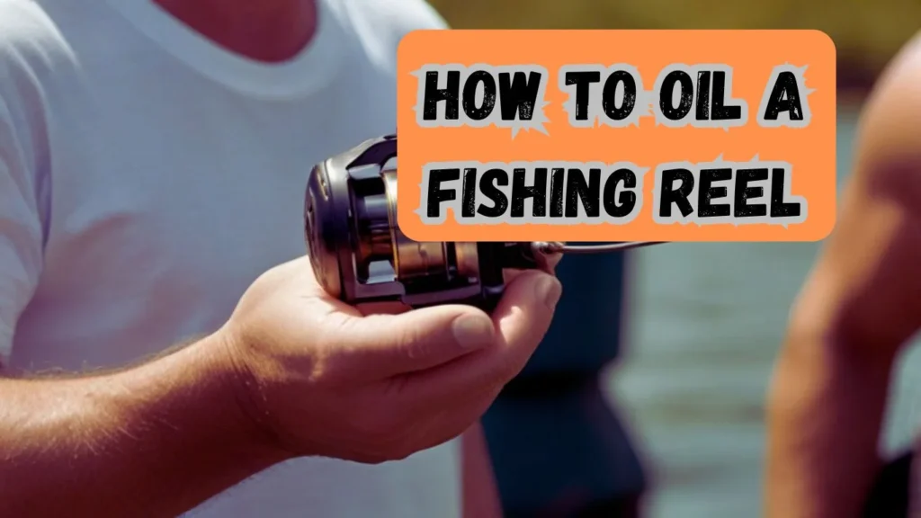 How To Oil a Fishing reel