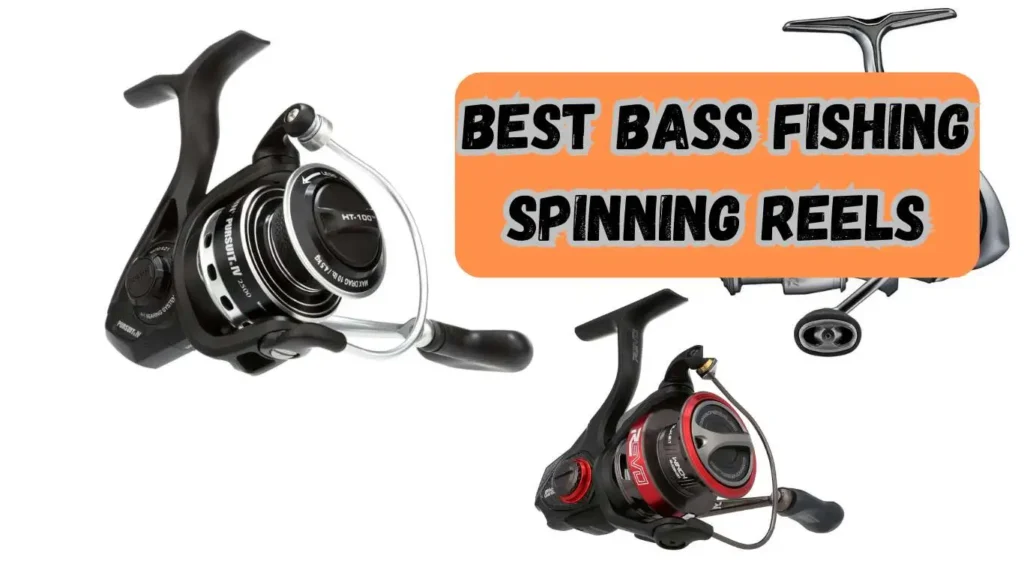 Best Bass Fishing Spinning Reels