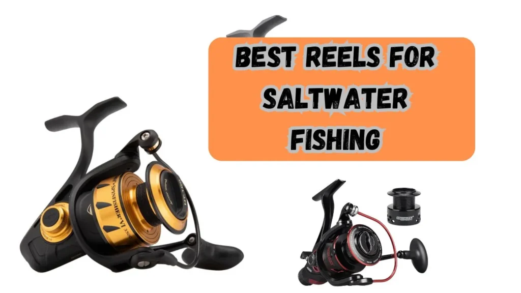 Best Reels for Saltwater Fishing