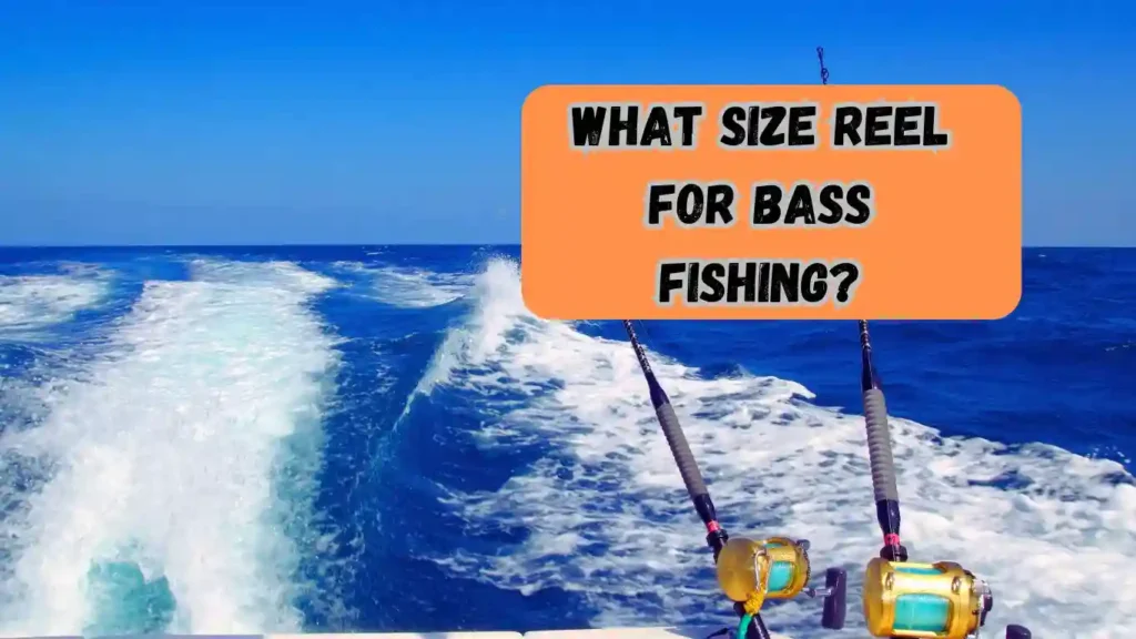 What Size Reel for Bass Fishing