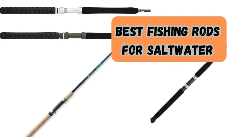 Best Fishing Rods For Saltwater
