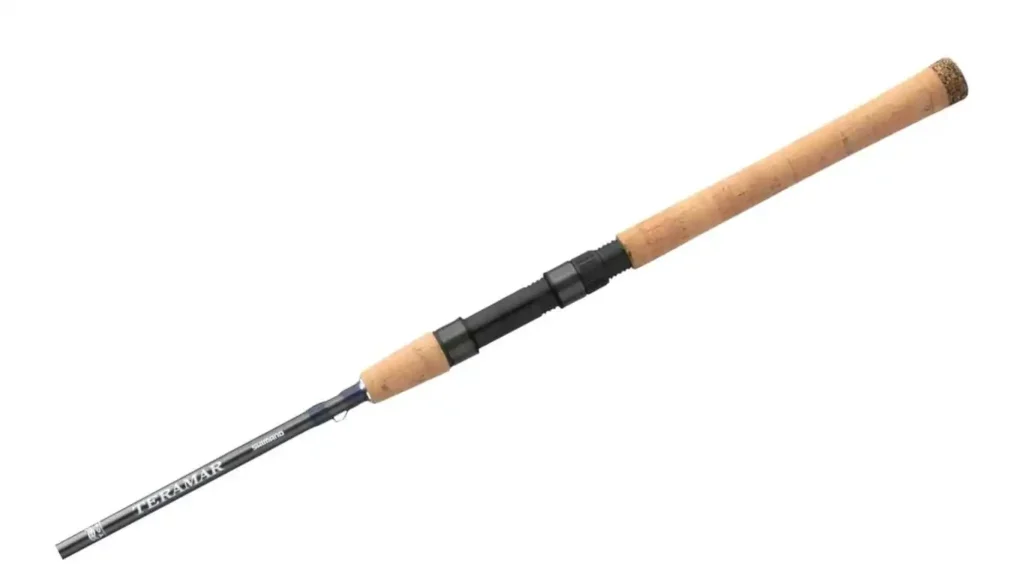 Best Fishing Rods for Saltwater