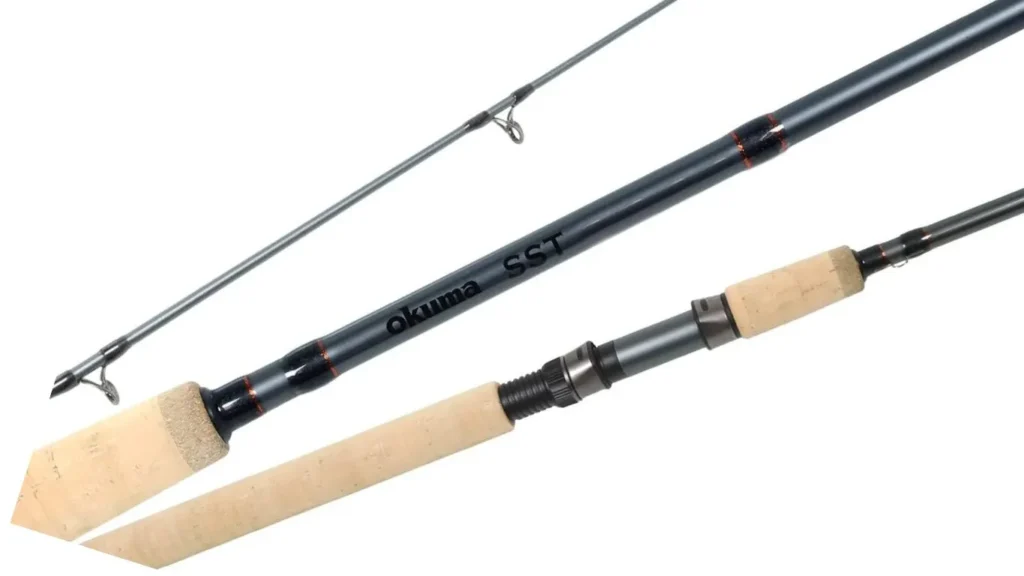 Best Travel Rods for Fishing