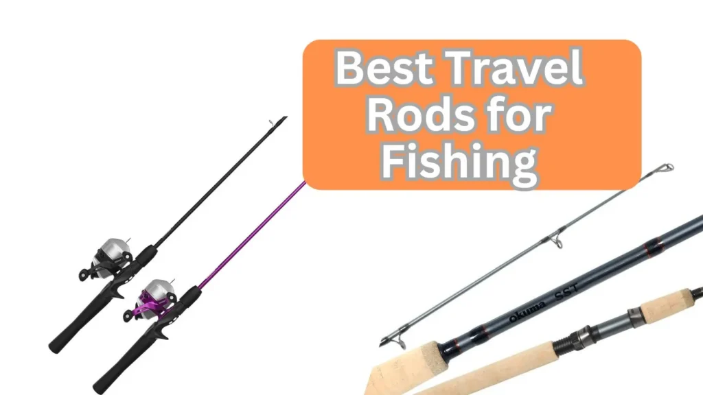 Best Travel Rods for Fishing fishingaba