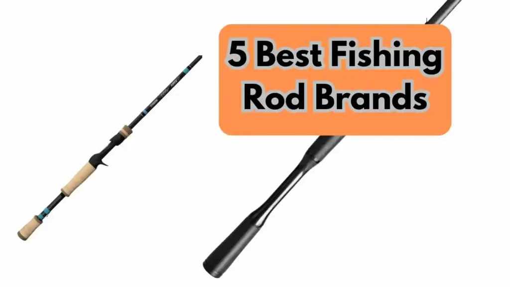 5 Best Fishing Rod Brands ( Trusted )