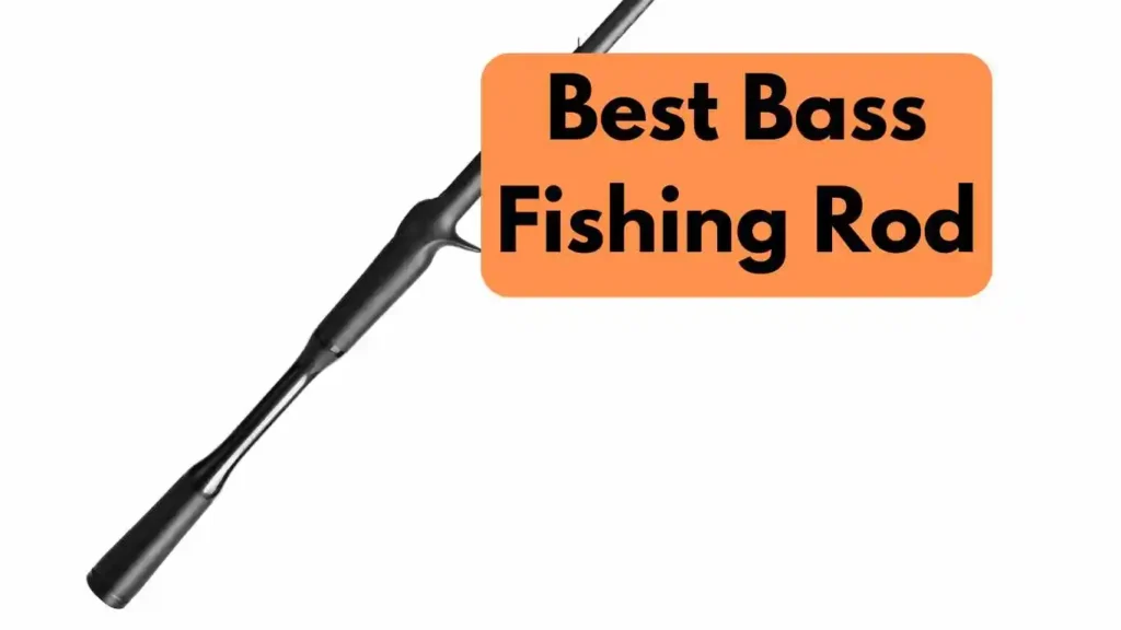 Best Bass Fishing Rod