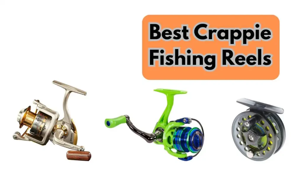 Best Crappie Fishing Reels