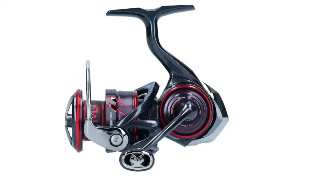 Best Reels for Trout Fishing