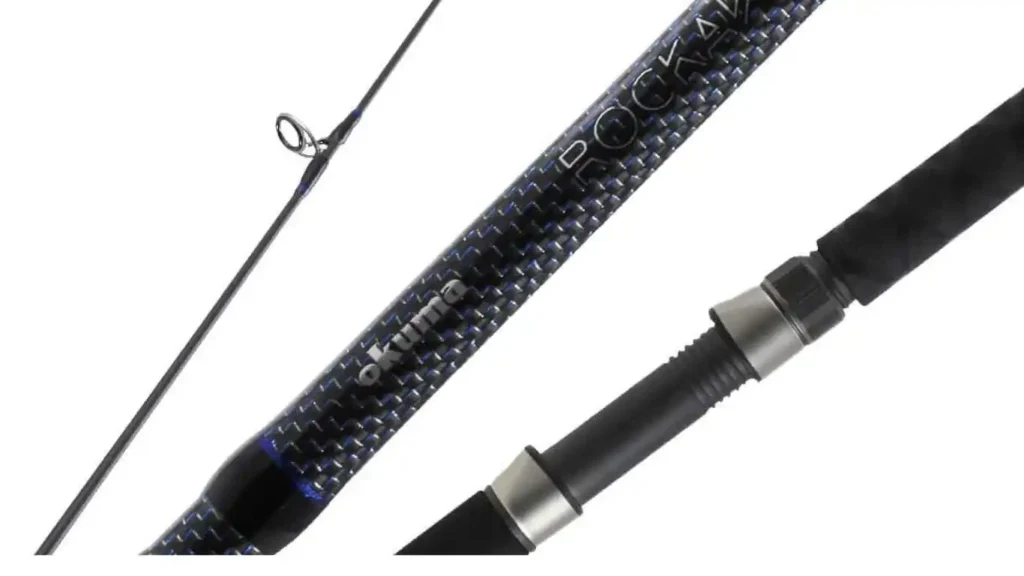 Best Surf Fishing Rods