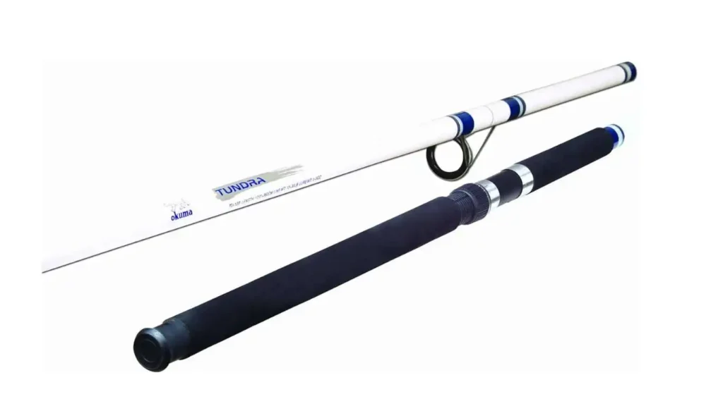 Best Surf Fishing Rods