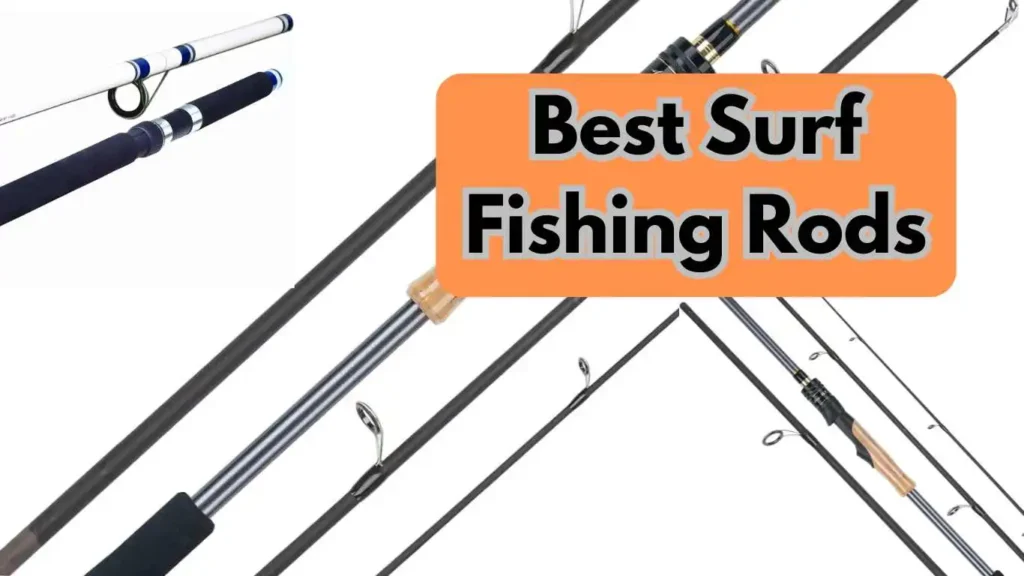 Best Surf Fishing Rods