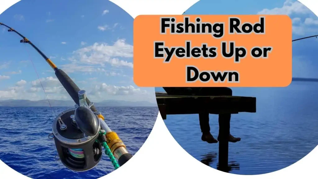 Fishing Rod Eyelets Up or Down