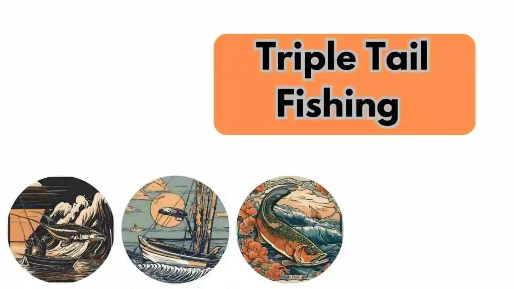 Triple Tail Fishing