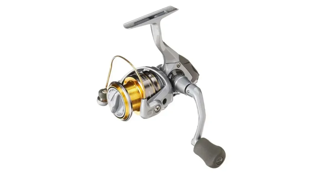 Best Reels for Trout Fishing