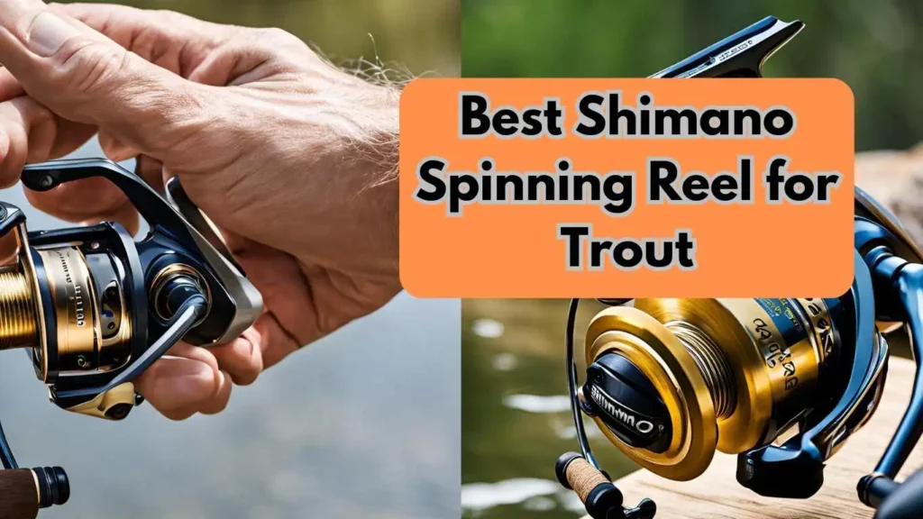 Best Shimano Spinning Reel for Trout.webp