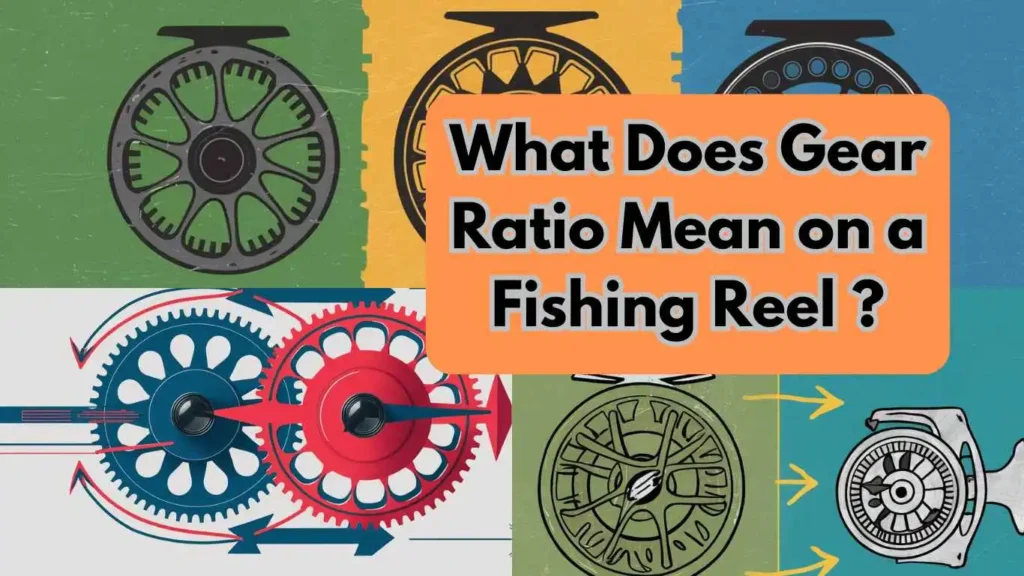 What Does Gear Ratio Mean on a Fishing Reel fishing baba